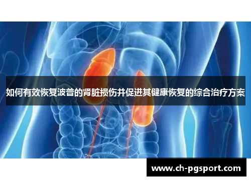 如何有效恢复波普的肾脏损伤并促进其健康恢复的综合治疗方案