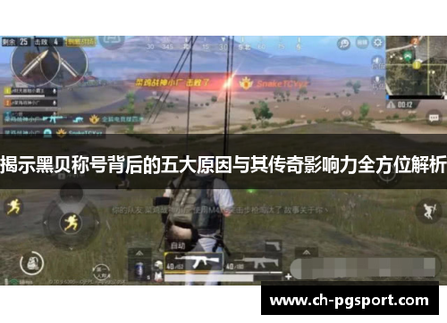 揭示黑贝称号背后的五大原因与其传奇影响力全方位解析 揭示黑贝称号背后的五大原因与其传奇影响力全方位解析