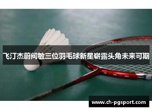 飞汀杰蔚阀敏三位羽毛球新星崭露头角未来可期